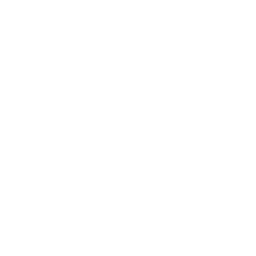 Client Requirement Analysis